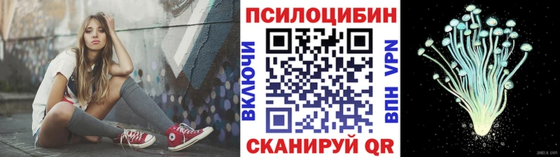 Галлюциногенные грибы MAGIC MUSHROOMS  где найти наркотики  Новый Уренгой 