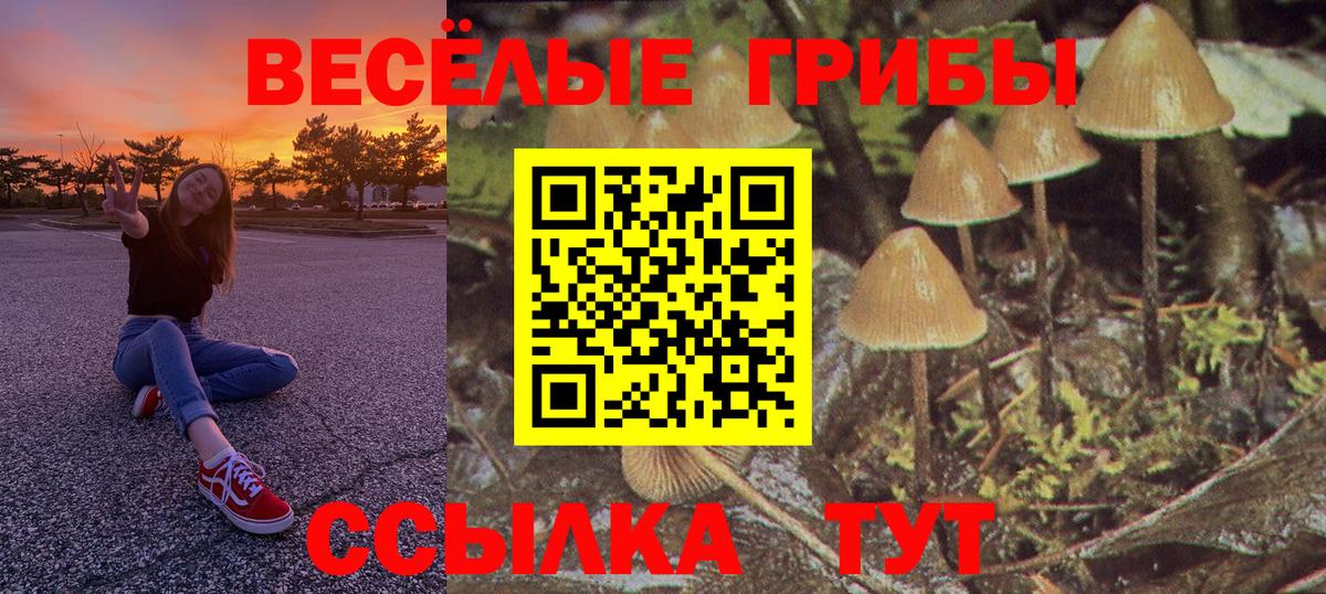 Псилоцибиновые грибы Psilocybe  Вход с VPN  Галлюциногенные грибы Psilocybine cubensis  Новый Уренгой 