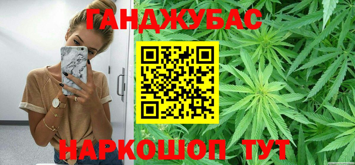 Бошки Шишки план Новый Уренгой